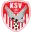 SV Kapfenberg