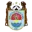 Deportivo Binacional