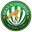 Bray Wanderers