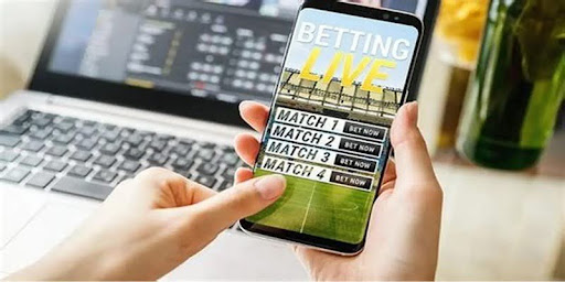Instructions on how to view the sports betting predictions Expert quality
