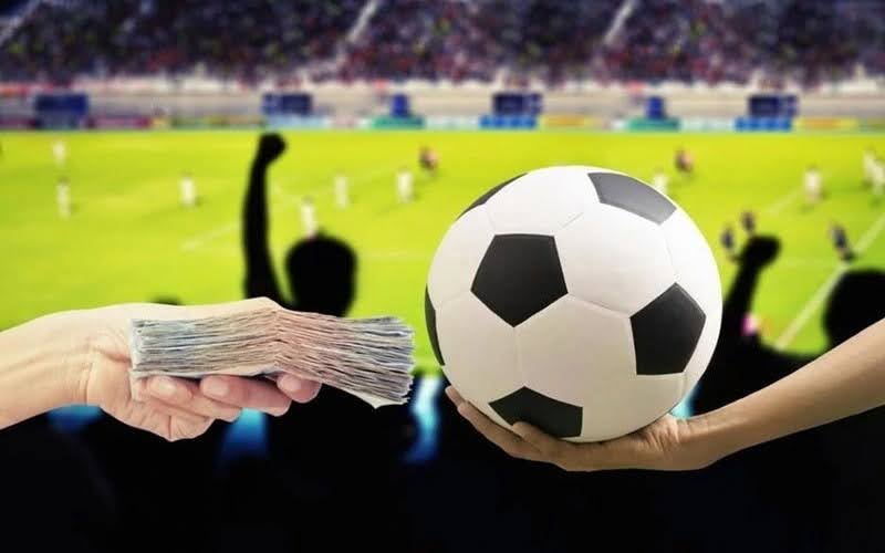 Wide-Ranging Coverage Of Leading Sports Tournaments
