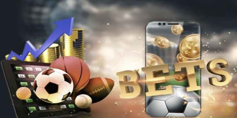 experience in betting on live odds