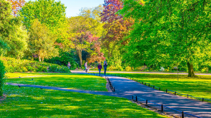 Top Places for Digital Nomads in Ireland: Remote Work Meets Exploration