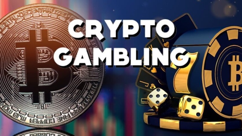 What Makes a Great Crypto Gambling Platform