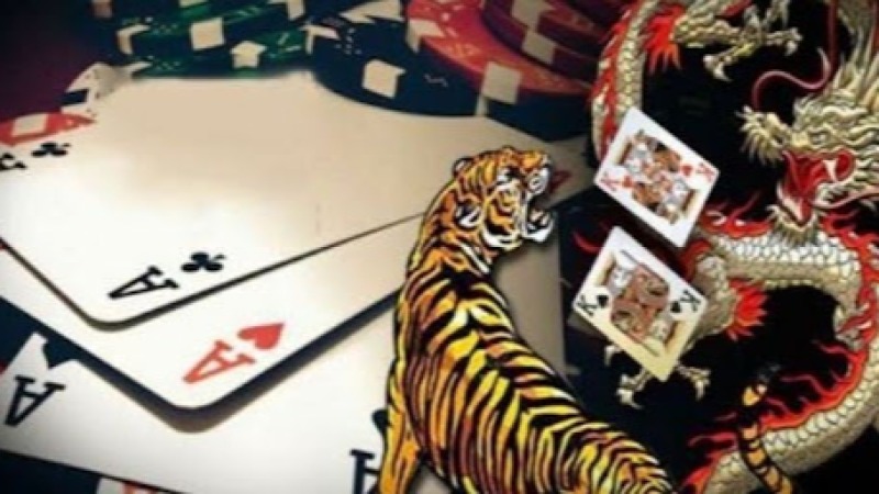 Dragon Tiger Strategy - Winning Methods Explained