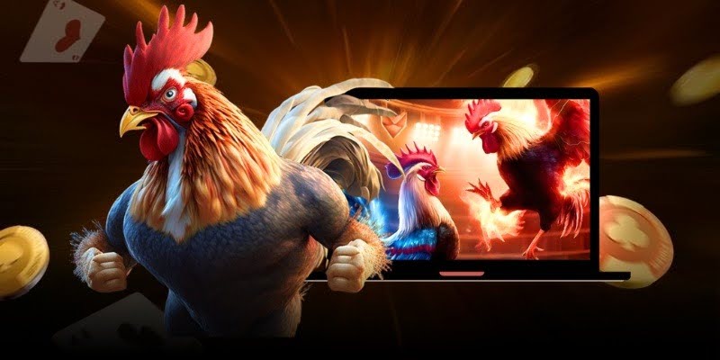 Learn about the general concept of good chicken scales