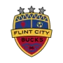 Flint City Bucks