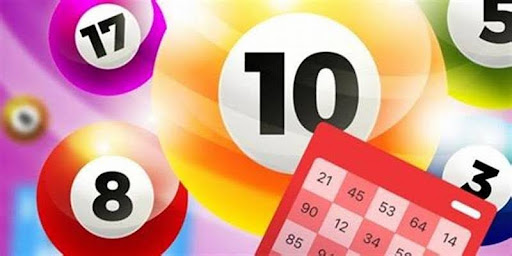 Vinwin updates lottery results daily