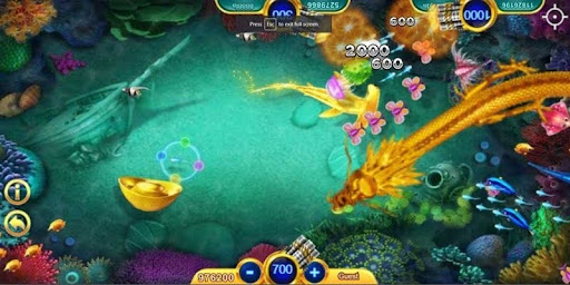 fish shooting